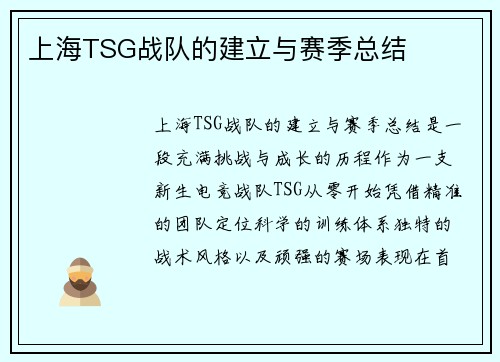 上海TSG战队的建立与赛季总结