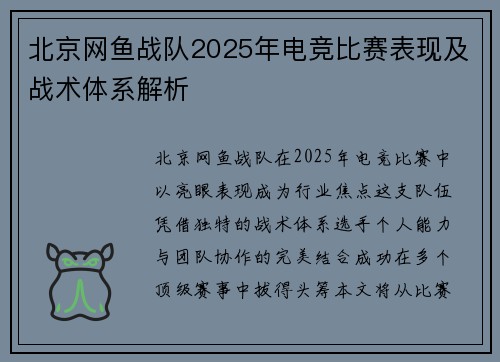 北京网鱼战队2025年电竞比赛表现及战术体系解析