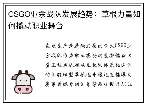CSGO业余战队发展趋势：草根力量如何撬动职业舞台